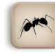 gomb-ant