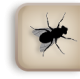 gomb-fly